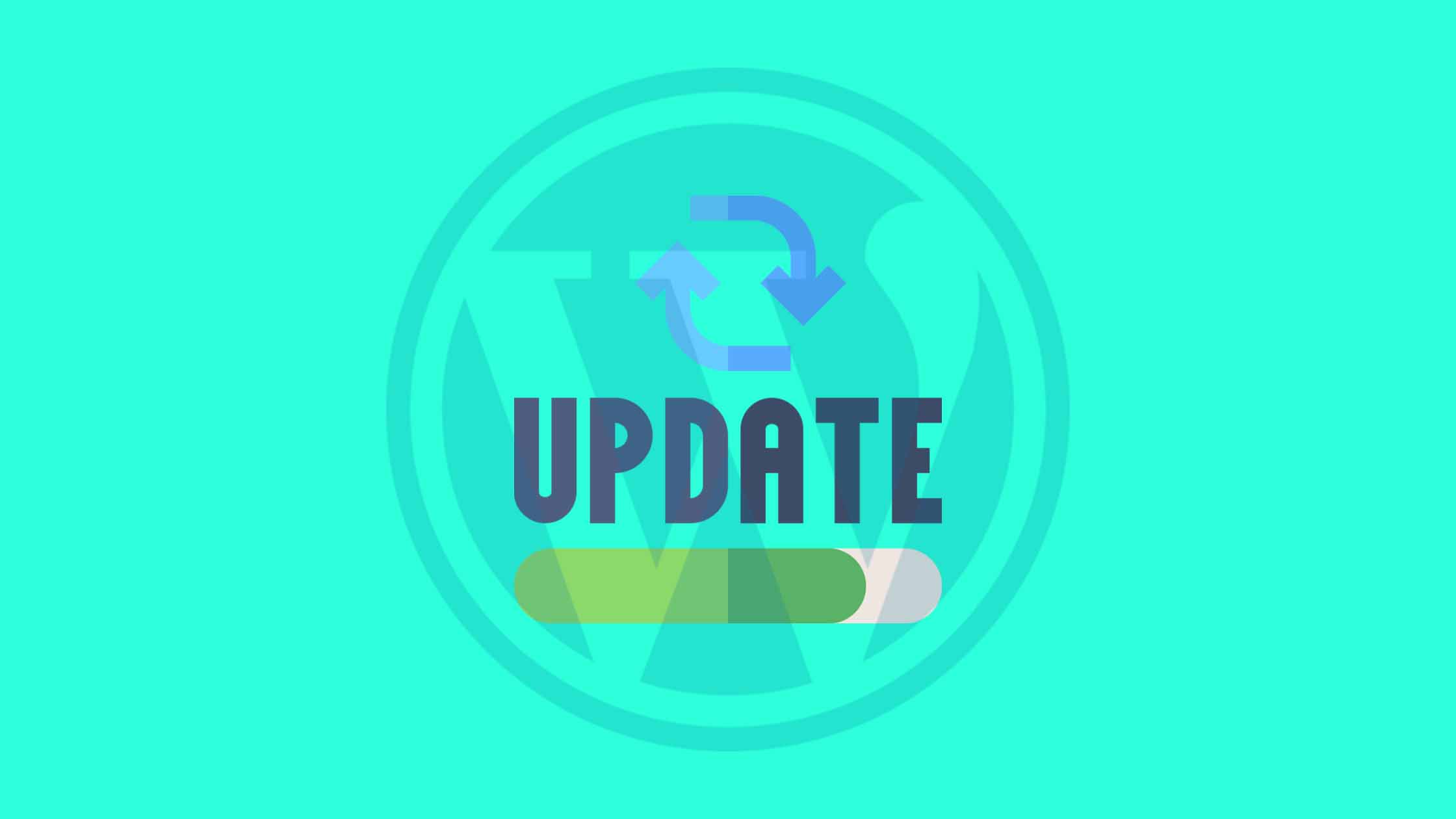 How to update WordPress Plugin