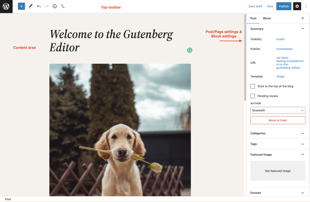 wordpress gutenberg block editor